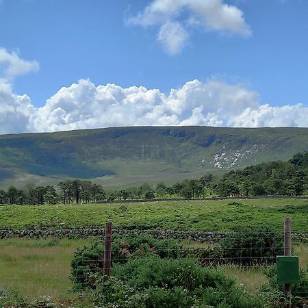 Hotel Oakwood Glamping Mourne Mountains Moyad Exterior foto