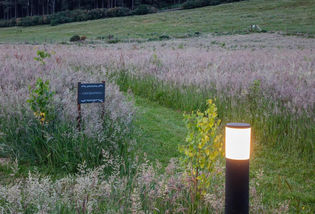 Hotel Oakwood Glamping Mourne Mountains Moyad Exterior foto